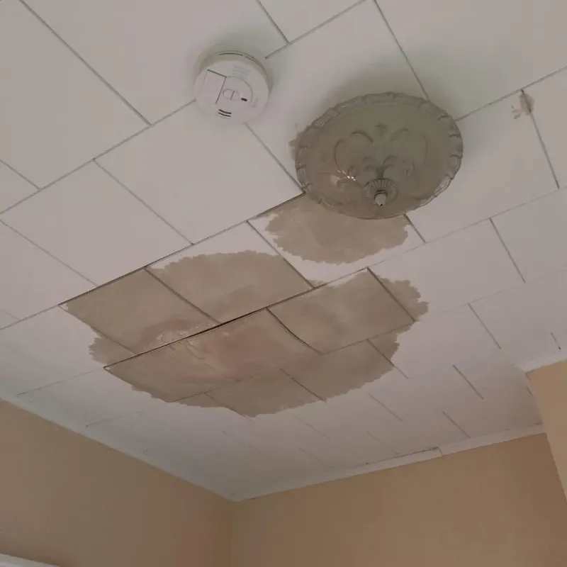 Ceiling Water Damage Repair in Ithaca, NY