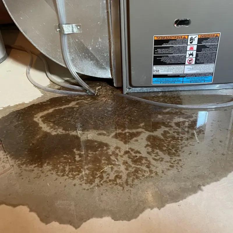Pipe Burst and Leak Restoration in Ithaca, NY